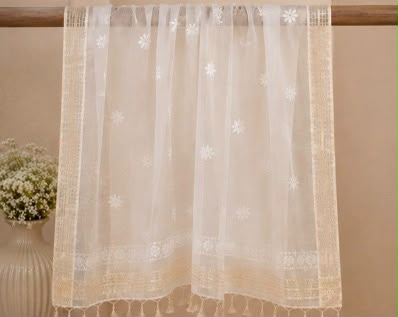 Chikankari Women's Mul Chanderi Silk Dupatta