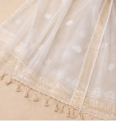 Chikankari Women's Mul Chanderi Silk Dupatta